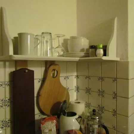 Frosch App 2 Hotel Friedrichstadt